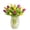 Clear Vase, variant on 1800 Flowers - Tulip Bouquet Only: 15 stems of Assorted Tulips, Decorative