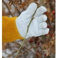 thumbnail image 5 of Gardening Gloves, Thorn Proof Kevlar/Leather for Men and Women (Xl), 5 of 8