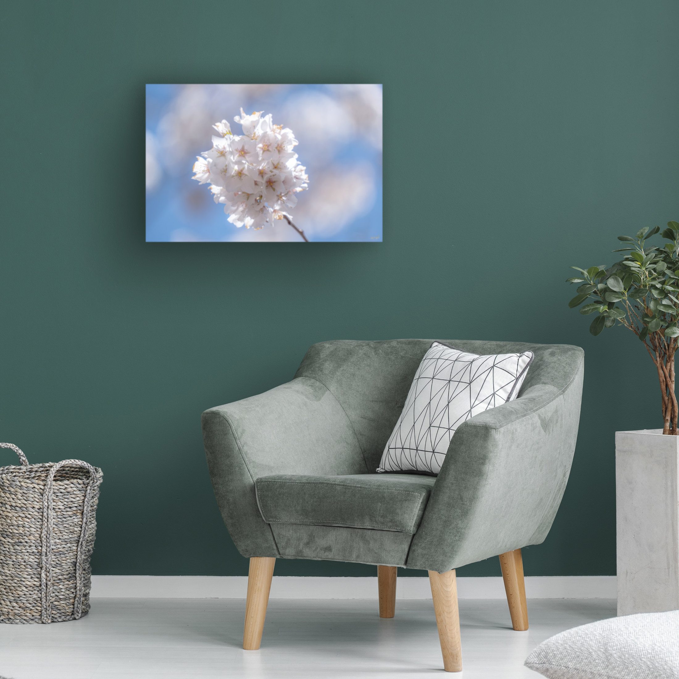 Canvas Wall Art - Life BeautifuLEE 'White Flowers Kissing Blue Sky 6' Wall Art for Living Room, Bedroom, or Office Décor by Trademark Fine Art - 19 x 12 Inches