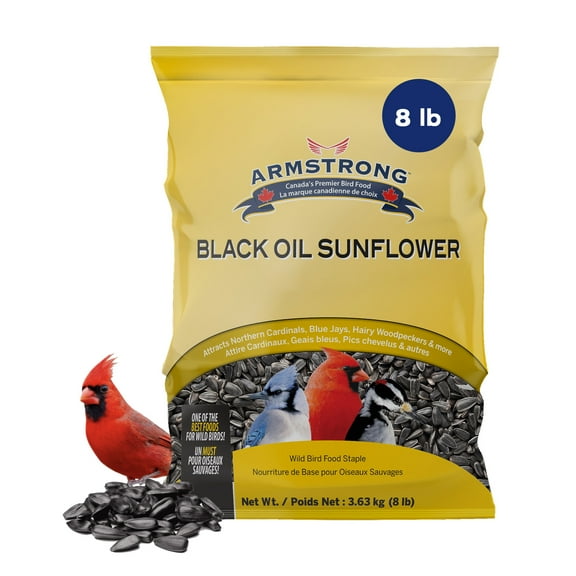 Armstrong Wild Bird Food Black Oil Sunflower Bird Seed, 8 Pounds - for Northern Cardinals, Blue Jays, Hairy Woodpeckers and Goldfinches - Ideal for Outside Feeders