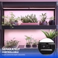 thumbnail image 3 of Grow Lights Barrina de 30 cm de espectro completo para plantas de interior, 3 of 9