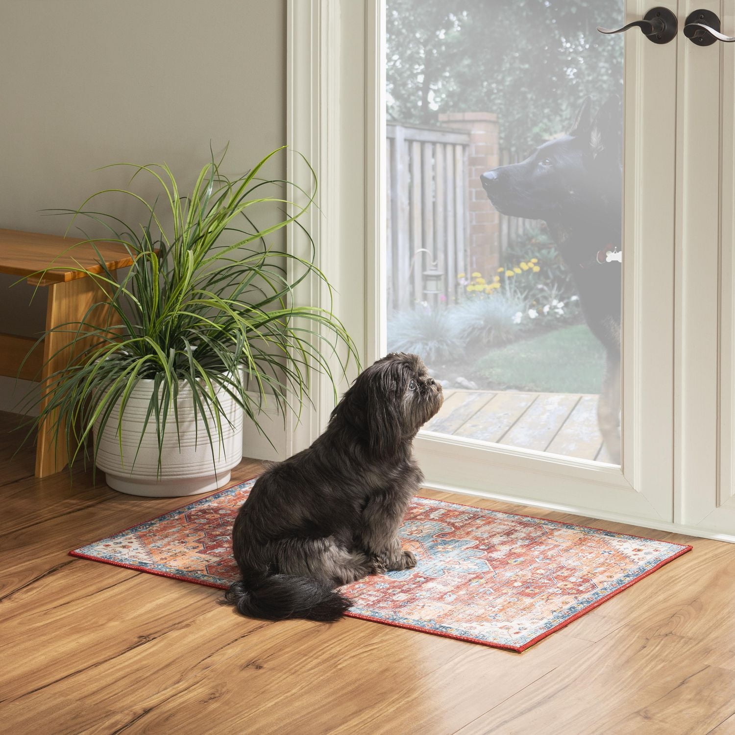 Carter 2' x 3' Washable Accent Rug, Rust and Ivory