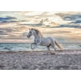 thumbnail image 2 of Ravensburger Puzzle 00222 - Horse on the Beach - 500 Piece Puzzle, 2 of 5