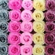 thumbnail image 3 of Director de la escuela Gold Crystal Rose 520 Simulación del día de San Valentín Eternal Rose Blue Demon ji, 3 of 6