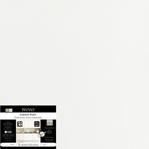 Nuvo Paint (Titanium Infusion) Quart