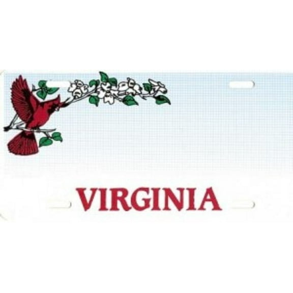 Design It Yourself Custom Virginia Bicycle Plate #2. Free Personalization on Plate