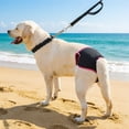 thumbnail image 4 of Reusable Female Dog Diaper Washable Leak Proof Pet Sanitary Pants Purple Size S Adjustable Waistband for Small Medium Large Dogs – Heat Period Protection Underwear – 1 Pack, 4 of 9