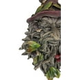 Nature Spirit God Celtic Winter Solstice Toadstool Greenman with