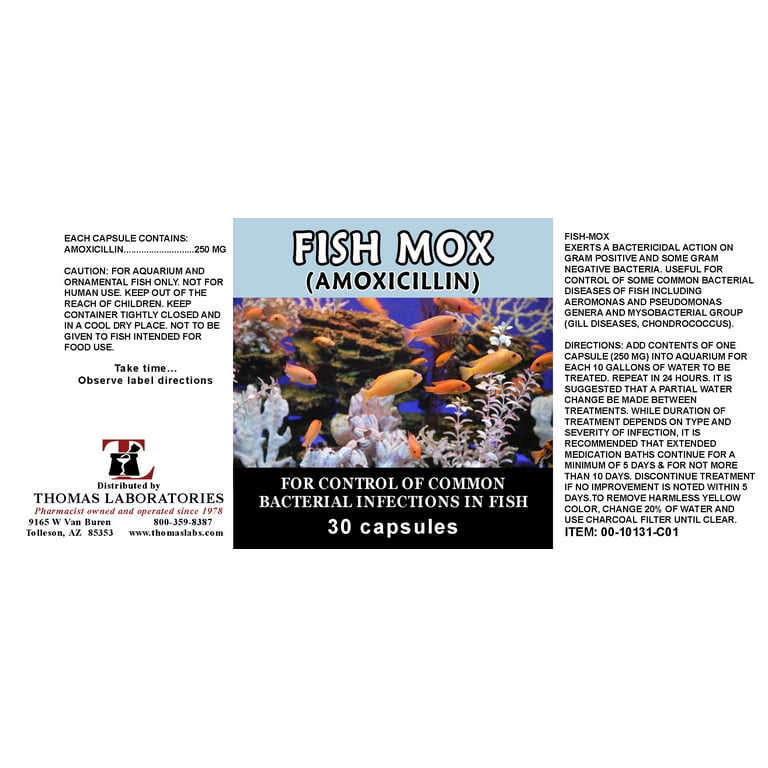 Can I Give My Dog Fish Penicillin