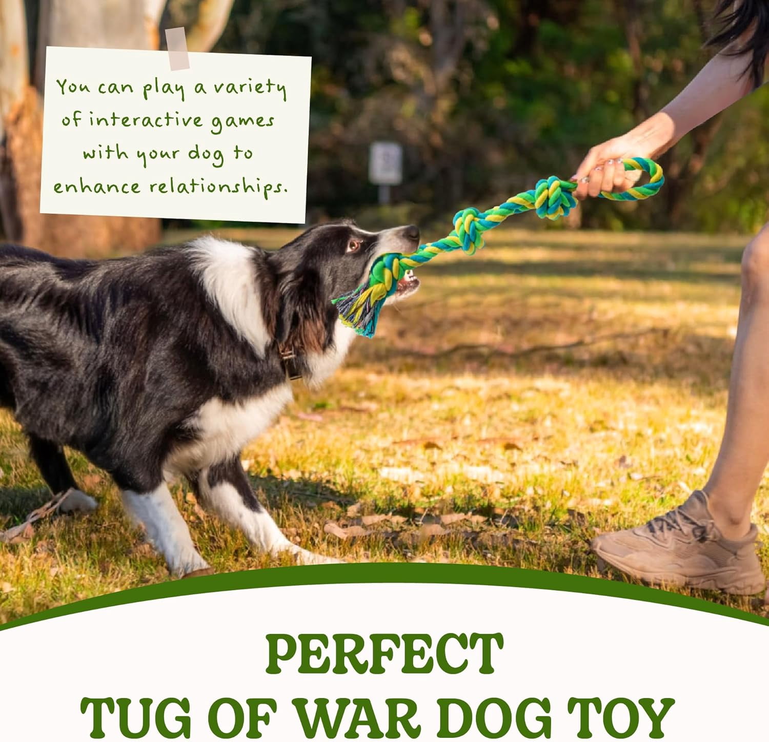 Dog Rope Toy for Medium Dogs, 2 Pack Heavy Duty Dog Chew Toys for Aggressive Chewers, Interactive Tug of War Dog Toys for Medium to Large Breed
