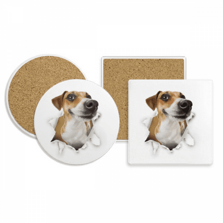 

Animal Paper Breaking Shock Pride Coaster Cup Mug Holder Absorbent Stone Cork Base Set