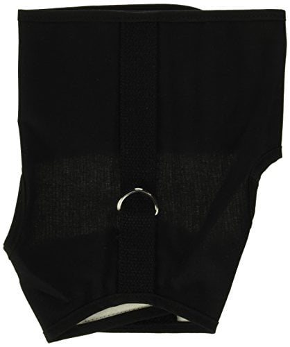 kitty holster cat harness canada