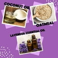 thumbnail image 6 of Speak Pet Products Natural Dog Shampoo with Pump, Calming Lavender, 1 Gallon, 6 of 6