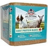Kalmbach Feeds Protein Block for Goats, 25 lb Block