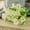 F, variant on AURIGATE Artificial Daisies Flowers Outdoor Fake Plants White Gerber Daisy Fake Foliage Greenery Faux Plants for Graves Hanging Outside Planter Window Box Wedding Decoration