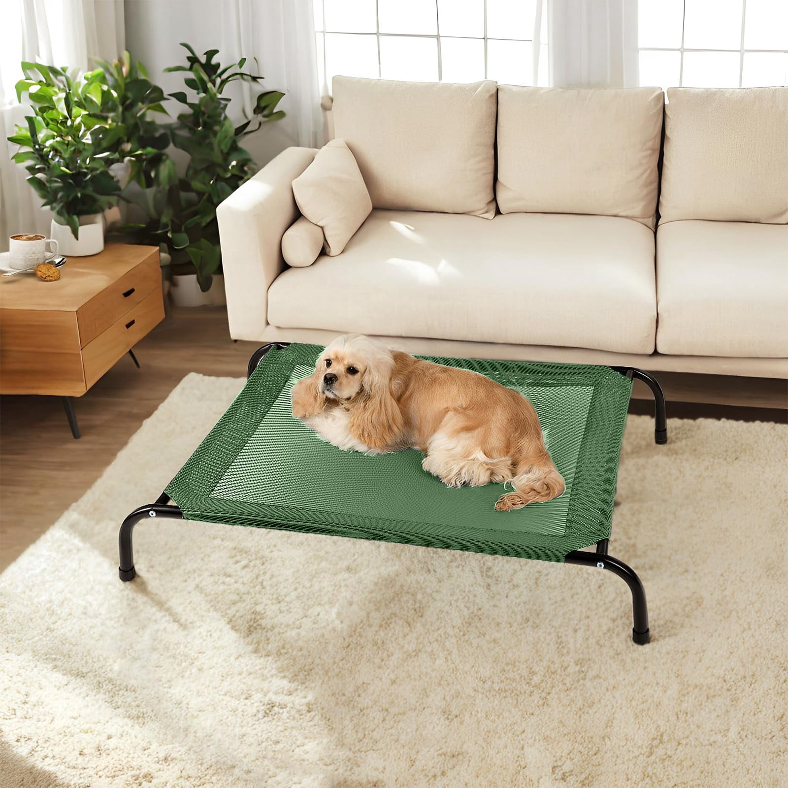 Elevated Dog Bed With Non-slip Floor Protectors & Breathable Mesh  Raised Indoor Outdoor Hammock 34" L X 22" W 8" Th Small Green