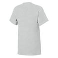 thumbnail image 2 of Hanes Souvenir Short Sleeve T-Shirt STATE OF TENNESSEE, 2 of 2