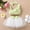 Green Girls Clothes, variant on Up to 65% off kttectoa Outfits for Girl Gauze Skirt Set Grid Print Sleeveless Sun-Top Tank Top and Skirt with Bow 2 Pieces Outfits Baby Girl Clothes Baby Girl Outfits Outfits for Girls 3-3T