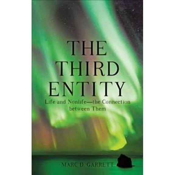 The Third Entity (Paperback)