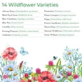 thumbnail image 2 of Utah Wildflower Seed Mix, Covers 325 MVR1&nbsp;Sq Ft, 17 Flower Varieties, Over 53,000 Seeds - Created By Nature, 2 of 3