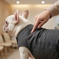 thumbnail image 6 of Dog Anxiety Relief Vest Calming Comfort Shirt, Thunderstorm Fireworks Stress Reduction Wrap for Small Medium Dogs,L,Dark Gray, 6 of 6