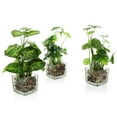 thumbnail image 3 of MyGift Set of 3 Artificial Plants, Faux Tabletop Greenery w/ Clear Glass Pots, 3 of 5