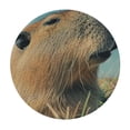 thumbnail image 4 of Orinice Capybara Grass Blue Sky Round Table Cover Stain Resistant Washable Indoor Outdoor Tablecloth Kitchen Dining Wedding Parties Waterproof Fabric 100% Polyester 46-50, 4 of 8