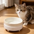 thumbnail image 6 of Ceramic Dog Food Bowl, Dog Food Water Dish for Small Breeds, Cats Pet Bowl Dishwasher & Microwave Safe, 6 of 8