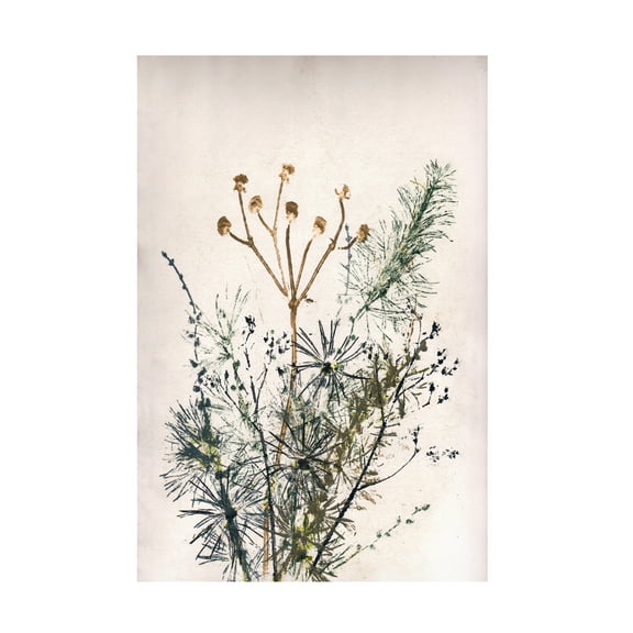 Canvas Wall Art - Pernille Folcarelli 'Bouquet 5' Wall Art for Living Room, Bedroom, or Office Décor by Trademark Fine Art - 12 x 19 Inches