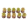 thumbnail image 2 of Paquete Piezas De Pntas Suculentas Artificiales En s De Para 1/12 Artículos De Jardín De De Patio Accesorios, 2 of 8