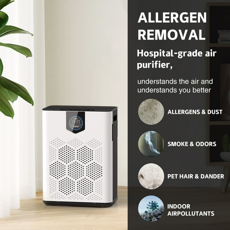 Can Air Purifiers Help With Asthma in Hospitals? Discover the Benefits