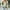 Green, variant on AOOCHASLIY Clearance Sweaters Women's Aow Pattern Cross-Border Knitted Sweater Winter New Chest Button Half Cardigan