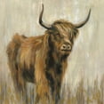 thumbnail image 2 of Vassileva, Silvia 12x12 Gold Ornate Wood Framed with Double Matting Museum Art Print Titled - Highland Mountain Cow, 2 of 4
