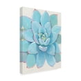 thumbnail image 2 of Trademark Fine Art 'Pastel Succulent I' Canvas Art by Tim O'Toole, 2 of 3