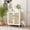 White, variant on NARTRU Cat Wooden Litter Box Enclosure with Scratching Doors for Cat Litter Boxes, Natural