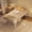 White, variant on Twin Pop-Up Trundle Bed Frame, Sturdy Collapsible Metal Platform, Lockable Casters, Space-Saving Guest Solution, Ideal for Bedroom or Guest Room