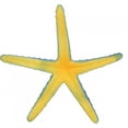 thumbnail image 4 of Simulation Starfish, Plastic Landscape Decoration Luminous Red,Blue Wonderful Aquarium Simulation Starfish, For Fish  Aquarium, 4 of 8