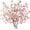 Z-pink, variant on Cherry Blossom Branches, Faux Silk Cherry Blossom Flowers, Long Stems Fake Flowers Vase Arrangement for Home Wedding Decor (4PCS, Champagne, 41")