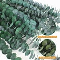 thumbnail image 4 of 30 Pcs Eucalyptus for Shower, Dried Hanging Bundle -17in Real Eucalyptus Stems,100% Natural Leaves Greenery Stems & Aromatic Shower Plant, Home Decor, Party Present, Wedding Gift, 4 of 8
