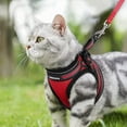 thumbnail image 3 of rabbitgoo Cat Harness and Leash Set for Walking Escape Proof, Adjustable Soft Kittens Vest with Reflective Strip for Small Cats, Comfortable Outdoor Vest, Red, 3 of 10
