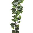 thumbnail image 1 of Holland Ivy Garland, 1 of 1
