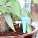 thumbnail image 5 of Dispositivos automáticos 12 piezas de riego automático de plantas en maceta Dispositivos de riego automático Botella de liberación lenta Estaca de riego para plantas de interior al aire libre Abanopi  Dispositivos automáticos, 5 of 7