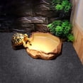thumbnail image 1 of CBFFDC Turtle Mat Reptile Carpet Soft Convenient Wear Resistant Lizard Landscaping Pad Pet Supplies Lizard Mat, 1 of 6