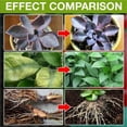 thumbnail image 6 of Plant Fertilizer Indoor Potted Plants, Liquid Fertilizer, BottlewithDropper, 1.7 Fl Oz, Indoor, Growth Enhancing Supplement, 6 of 7