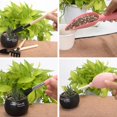 thumbnail image 3 of Yazoeia Tool kit for women, 16pcs/Set Mini Gardening Tool Set Succulent Transplanting Tool Succulent Garden Kit Transplanting Tools for Indoor Garden Plant Care(Style1) CJC912-196199, 3 of 9
