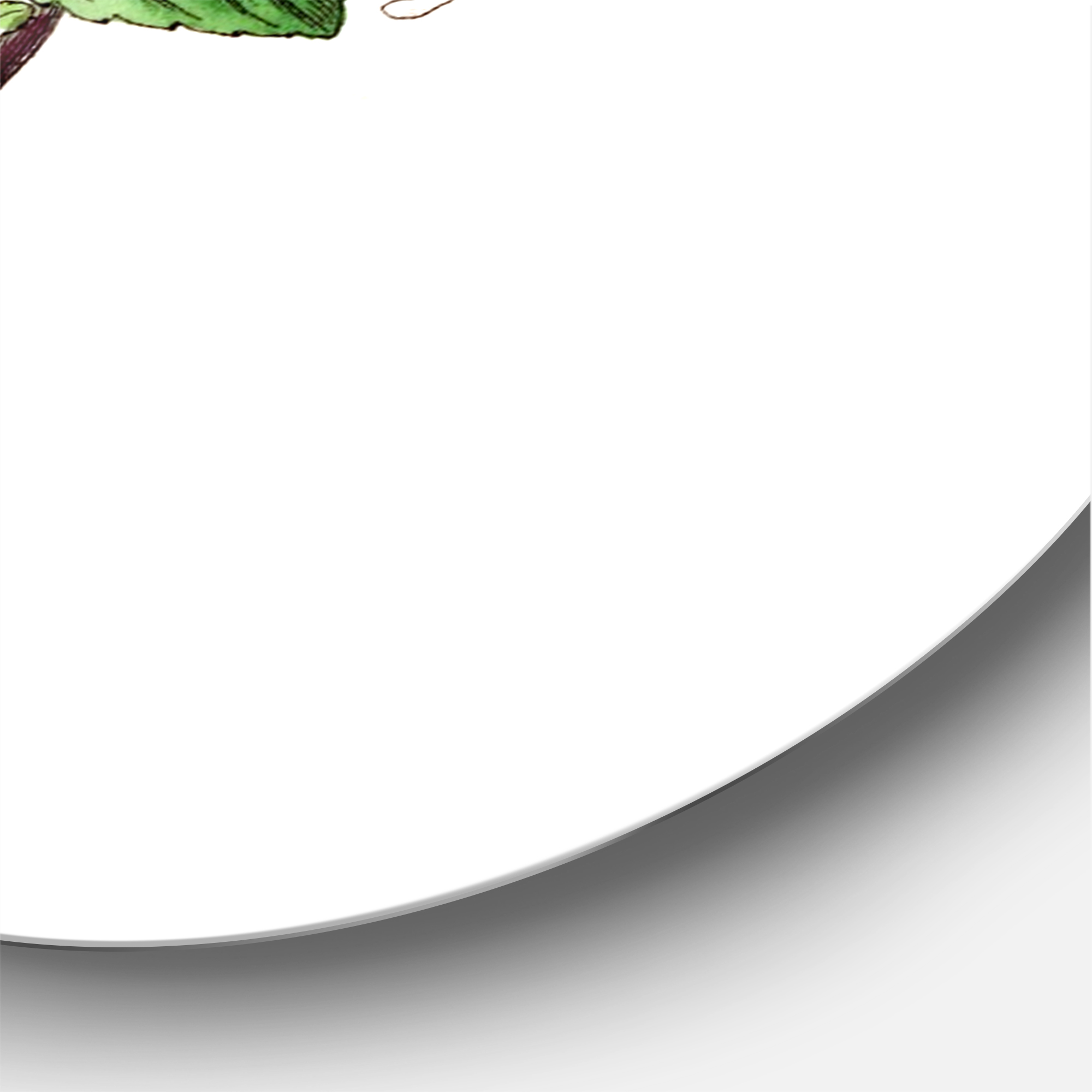 Designart 'Ancient Green Leaves Plants VII' Traditional Circle Metal Wall Art 11x11 - Disc of 11