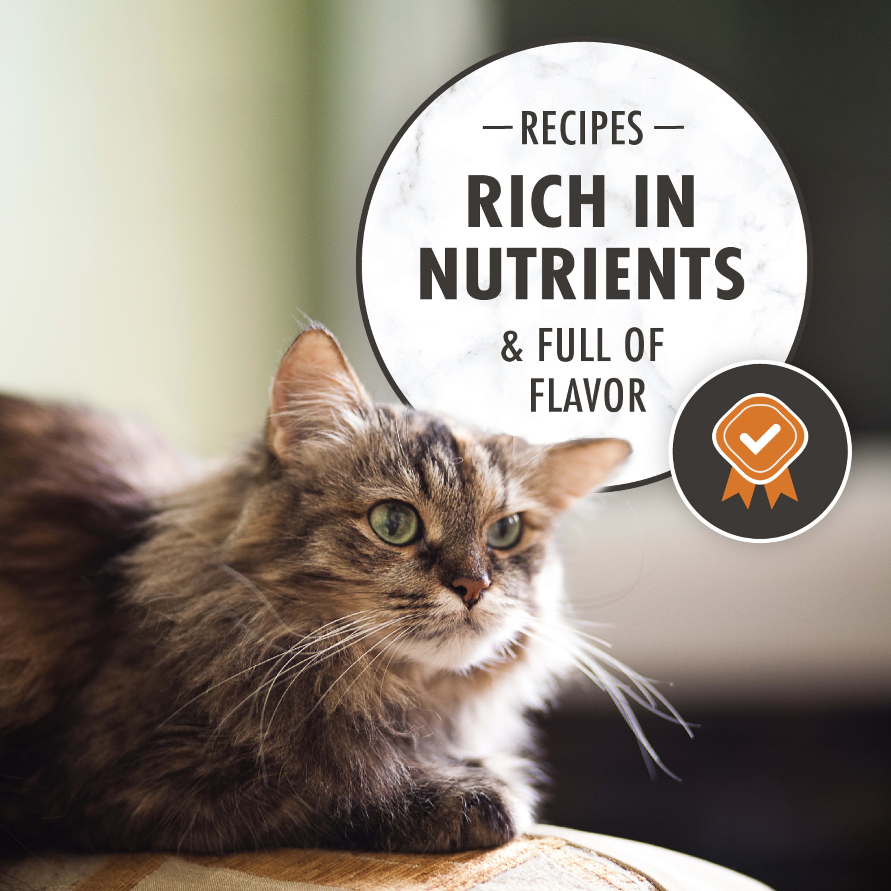 Nutro senior cat food reviews discount