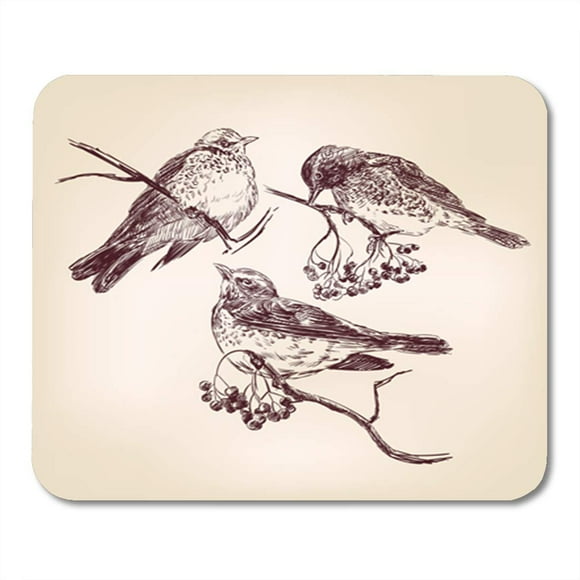 POGLIP Sketch Bird Vintage Nest Sparrow Starling Winter Aves Hunting Mousepad Mouse Pad Mouse Mat 9x10 inch