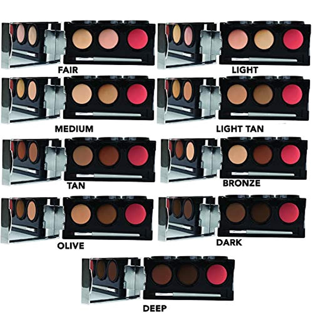 Dermaflage Professional Tattoo Cover Up Concealer Makeup, Full Coverage Matte, Waterproof