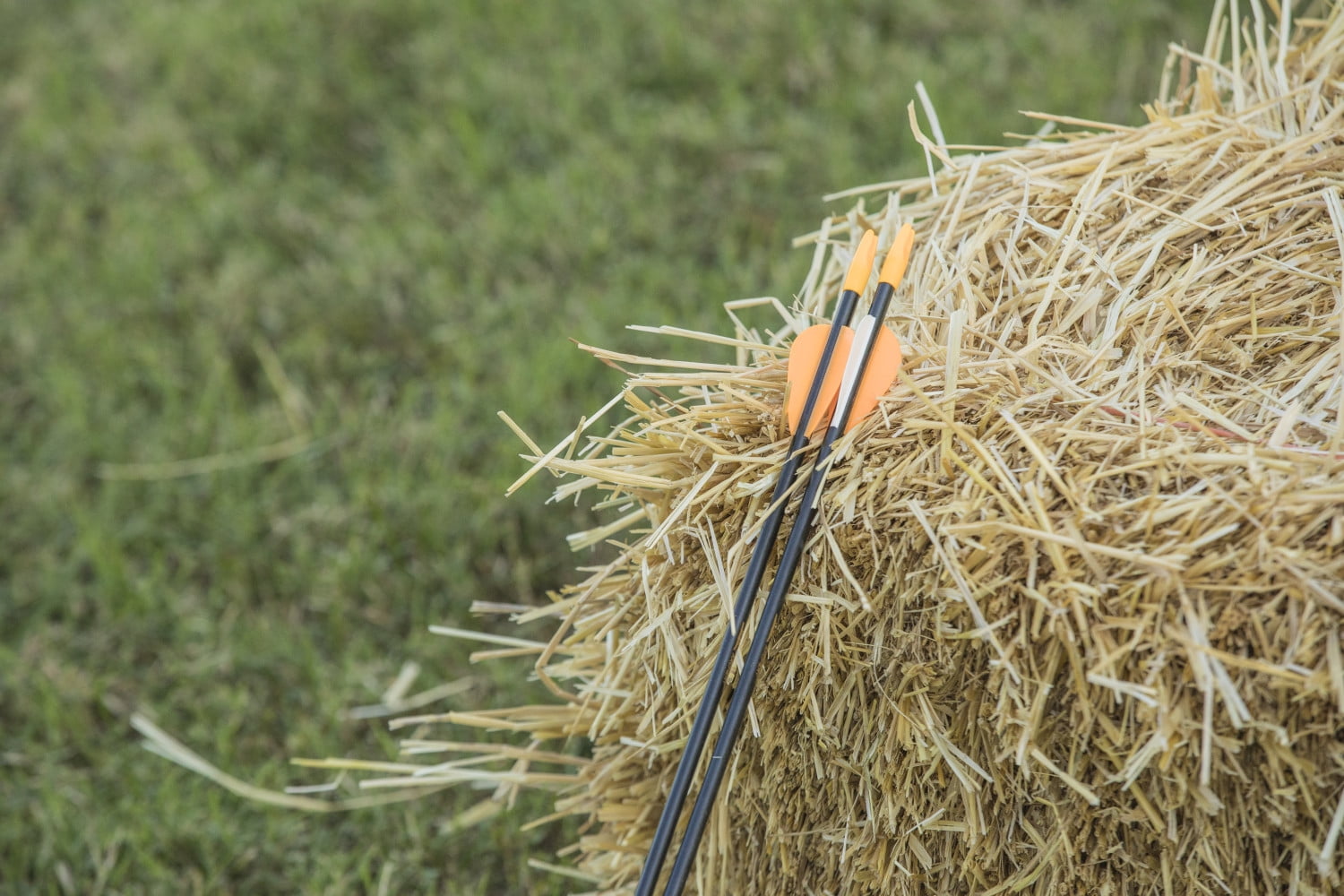 Bear Safetyglass Archery Arrows
